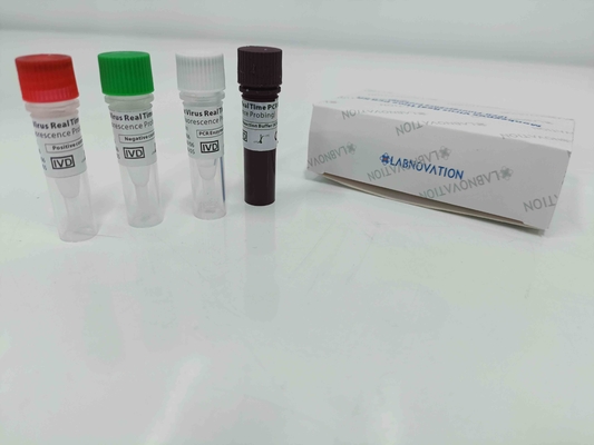 Bộ xét nghiệm PCR Monkeypox thời gian thực với kiểm soát dương tính / âm tính
