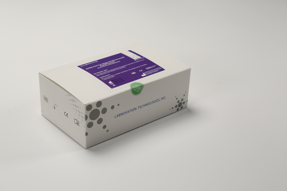 Labnovation 20 Test Bộ xét nghiệm cúm AB để điều trị sớm